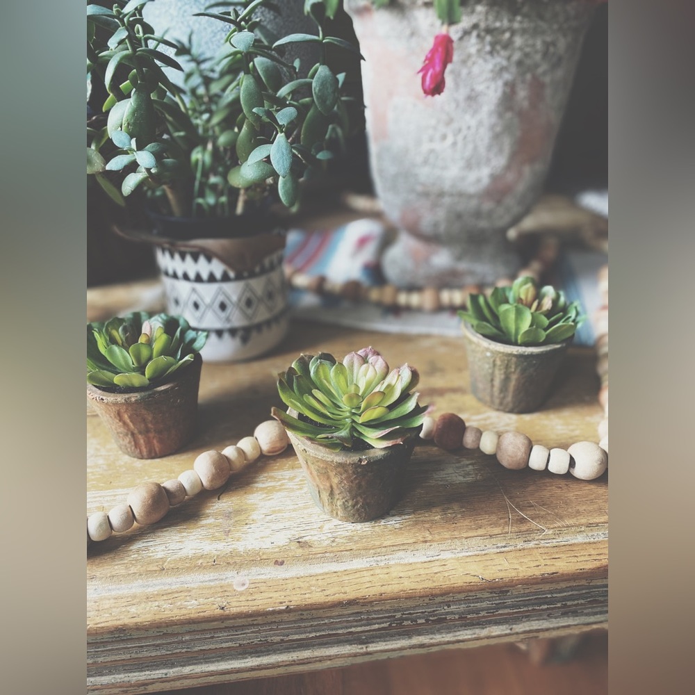 Set of 3 Rustic Clay Potted Faux Succulents - Boho Home Decor